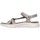 Chaussures Femme Sandales et Nu-pieds Skechers 141451 GO WALK FLEX SANDAL Marron