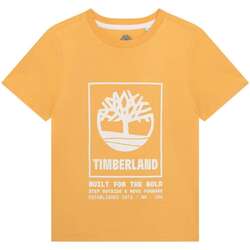 Vêtements Garçon T-shirts manches courtes Timberland 163470VTPE24 Jaune