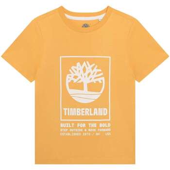 Vêtements Garçon T-shirts manches courtes Timberland 163470VTPE24 Jaune