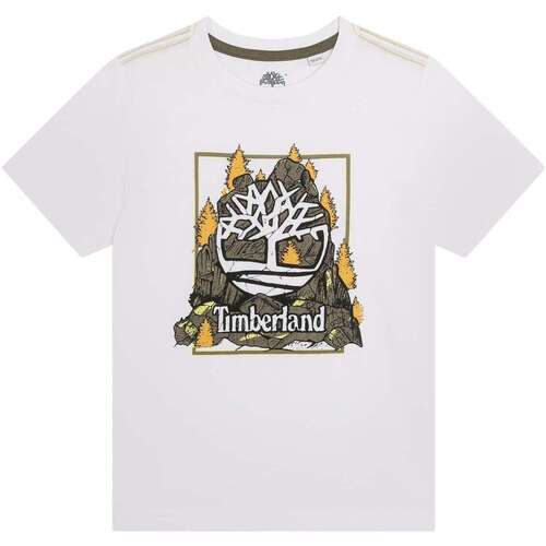 Vêtements Garçon T-shirts manches courtes This Timberland 163473VTPE24 Blanc