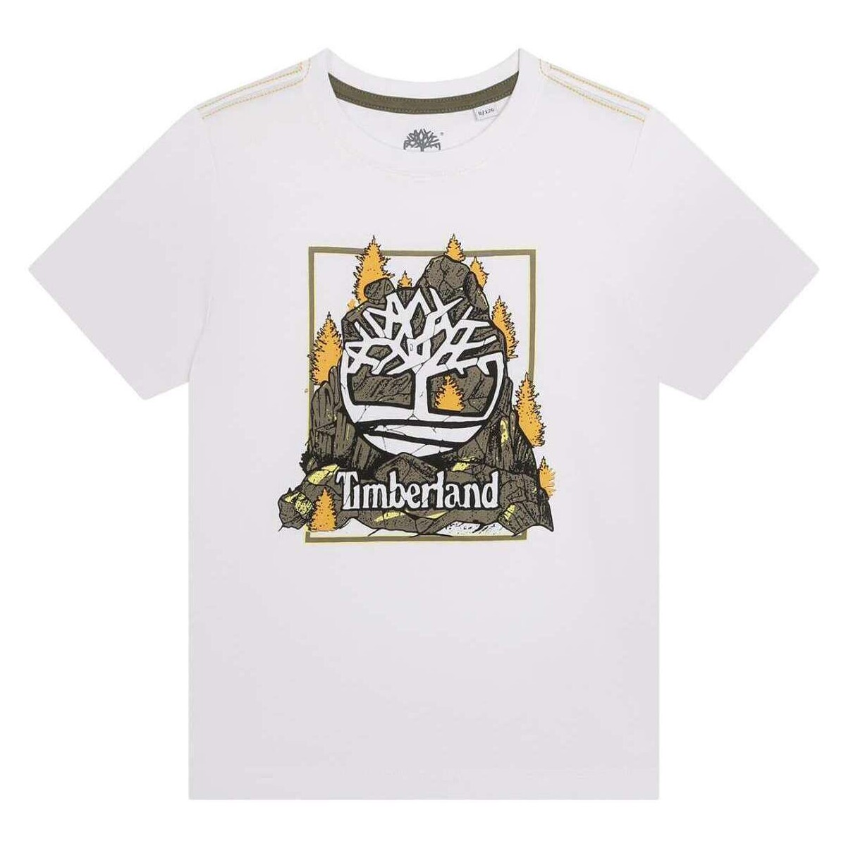 Vêtements Garçon T-shirts manches courtes Timberland 163473VTPE24 Blanc