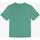 Vêtements Garçon T-shirts manches courtes Le Temps des Cerises Coznerbo aqua tsh b Vert