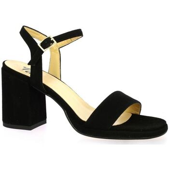 Chaussures Femme Bottines / Boots Pao Nu pieds cuir velours Noir