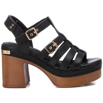Chaussures Femme Petit : 1 à 2cm Carmela  Noir