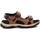 Chaussures Homme Sandales et Nu-pieds Xti 14278401 Marron