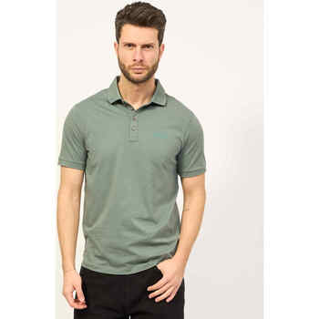 Vêtements Homme T-shirts & Polos EAX Polo  en jersey Milan/New York Vert