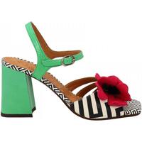 Chaussures Femme Sandales et Nu-pieds Chie Mihara PIROTA Multicolore