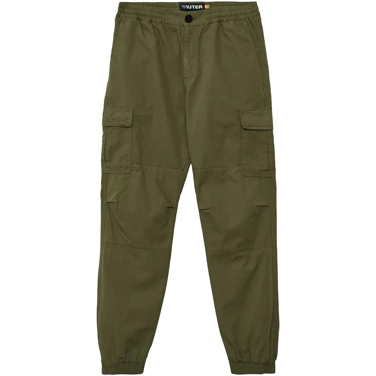 Vêtements Homme Pantalons Iuter Cargo Jogger Vert