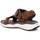 Chaussures Homme Sandales et Nu-pieds Xti 14277803 Marron