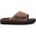 Chaussures Homme Claquettes Xti 14278201 Marron