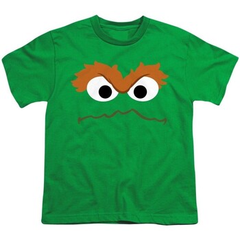 Vêtements Enfant T-shirts manches courtes Sesame Street TV2863 Vert