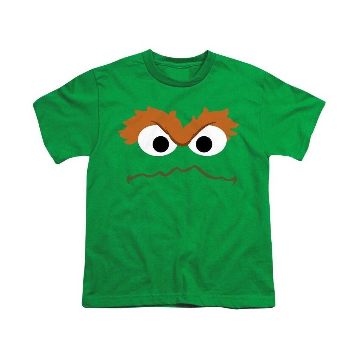 Vêtements Enfant T-shirts manches courtes Sesame Street TV2863 Vert