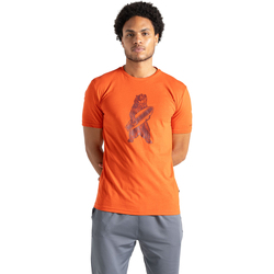 Vêtements Homme T-shirts manches longues Dare 2b Movement II Multicolore