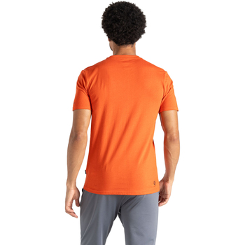 adidas Originals Linear Repeat Long-Sleeve T-Shirt