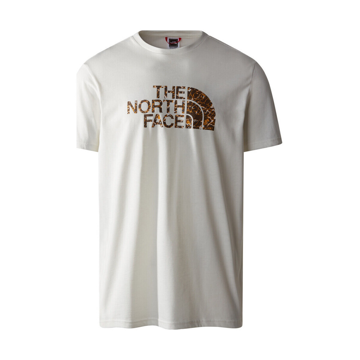 Vêtements Homme Polos manches courtes The North Face M S/S EASY TEE Blanc