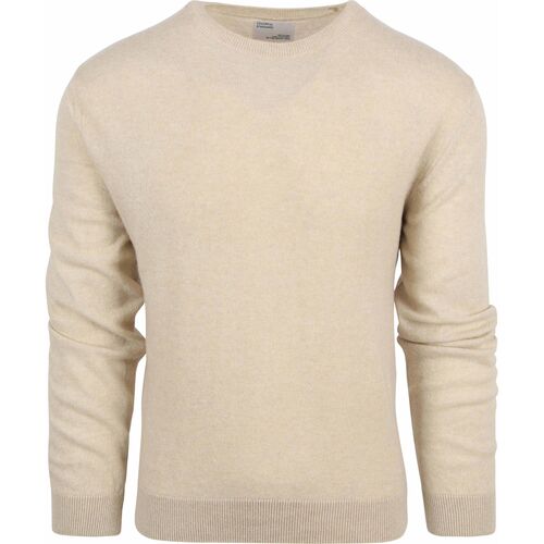 Vêtements Homme Sweats Colorful Standard Sweater Merino Beige Beige