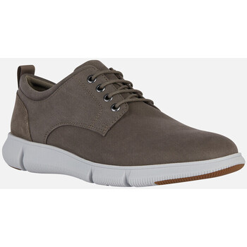 Chaussures Homme Rideaux / stores Geox U ADACTER F Beige