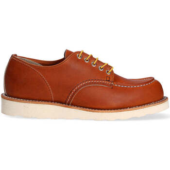 Chaussures Homme Malles / coffres de rangements Redwing  Marron