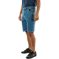 Vêtements Femme Shorts / Bermudas Dickies 0a4xck Bleu