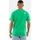 Vêtements Homme T-shirts manches courtes The North Face 0a87n5 Vert