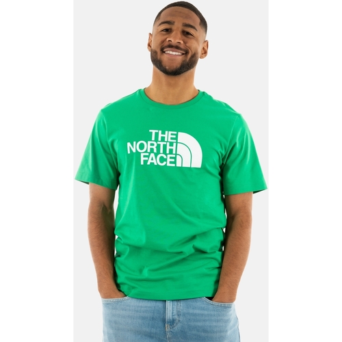 Vêtements Homme T-shirts manches courtes The North Face 0a87n5 Vert