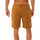 Vêtements Homme Shorts / Bermudas Rip Curl CLASSIC SURF CHINO WALKSHORT Marron