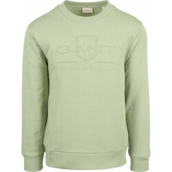 Vêtements Homme Sweats Gant Pullover Embossed Logo Vert Clair Vert