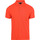 Vêtements Homme T-shirts & Polos Tommy Hilfiger Polo 1985 Sun Kissed Rouge Rouge
