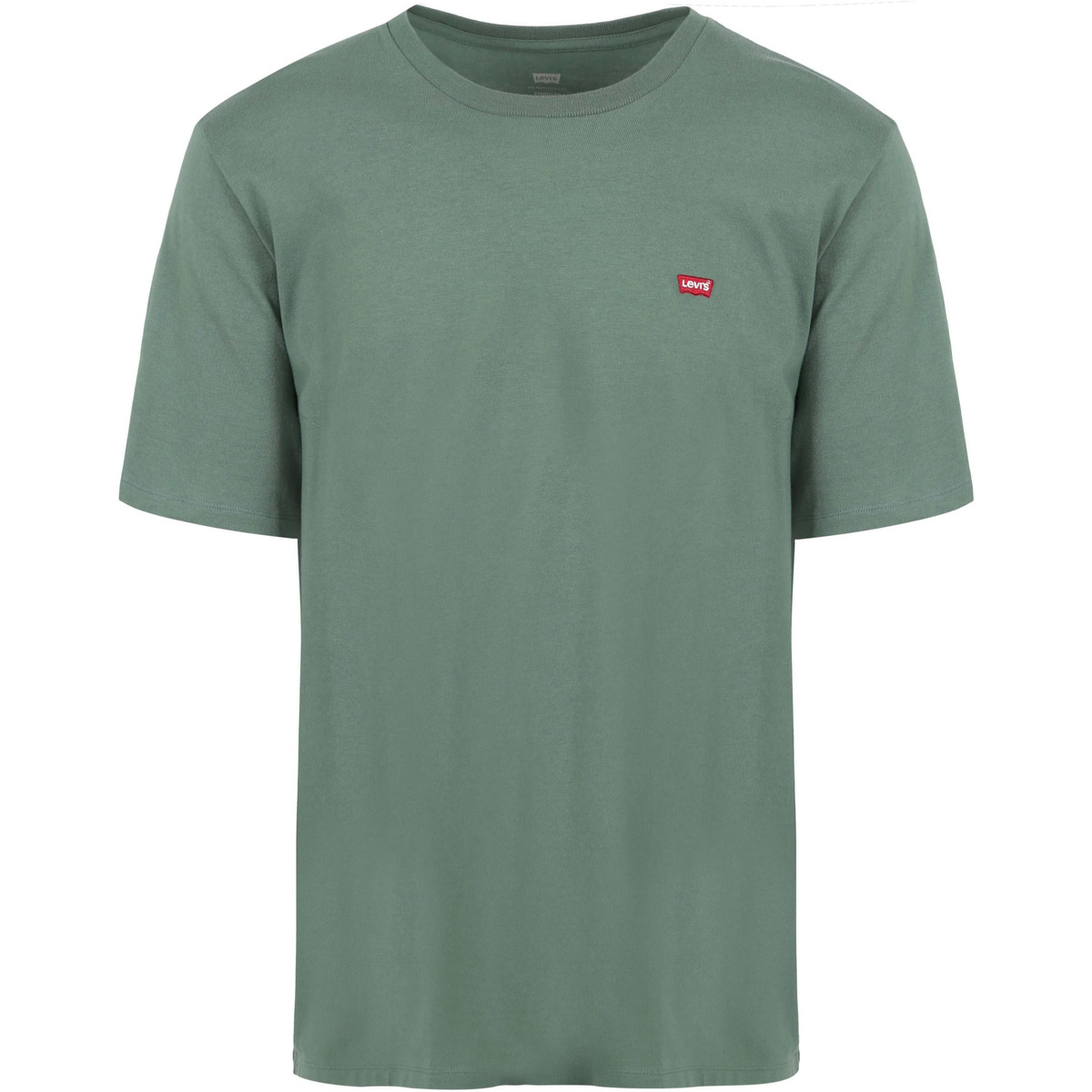 Vêtements Homme T-shirts & Polos Levi's T-shirt Big & Tall Original Vert Vert