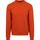 Vêtements Homme Sweats Napapijri Sweater Orange Orange