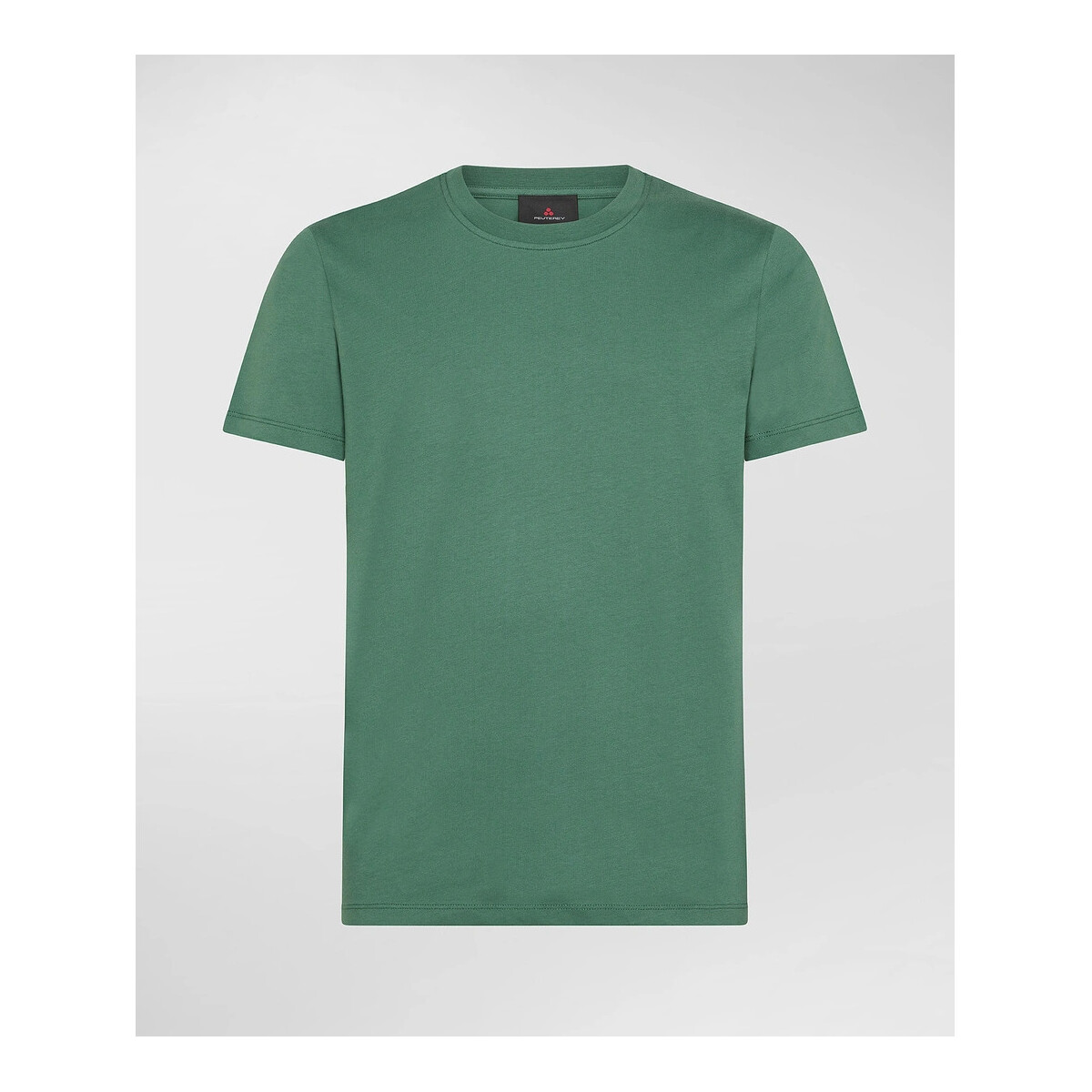 Vêtements Homme T-shirts & Polos Peuterey PEU5133 Vert