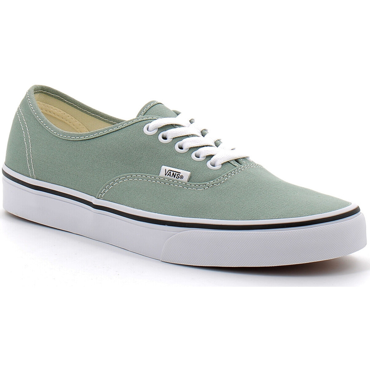 Chaussures Homme Baskets mode Gore-tex Vans CHAUSSURES COLOR THEORY AUTHENTIC Vert