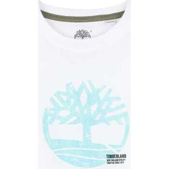 Vêtements Garçon T-shirts manches courtes Timberland 163474VTPE24 Blanc