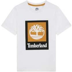 Vêtements Garçon T-shirts manches courtes Timberland 163477VTPE24 Blanc