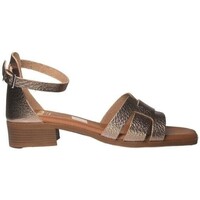 Chaussures Femme Sandales et Nu-pieds Rks 5344 Marron