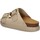 Chaussures Femme Sandales et Nu-pieds Scholl SL.F311341002 Beige