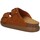 Chaussures Femme Sandales et Nu-pieds Scholl SL.F311341170 Marron