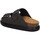 Chaussures Femme Sandales et Nu-pieds Scholl SL.F311341029 Gris