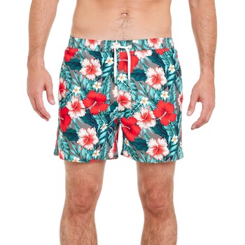 Vêtements Homme Maillots / Shorts de bain Pullin Short  PAKO BACKDOOR Multicolore