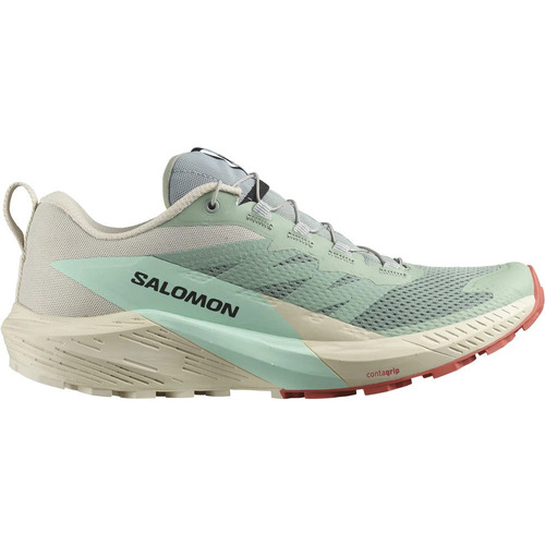Chaussures Homme Running / trail Salomon SENSE RIDE 5 Multicolore