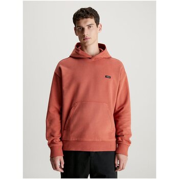 Vêtements Homme Sweats Calvin Klein Jeans Distressed K10K112748 Orange