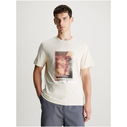 Vêtements Homme T-shirts manches courtes Calvin Klein Jeans K10K112758 Beige