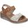 Chaussures Femme Sandales et Nu-pieds Amarpies ABZ26568 Marron