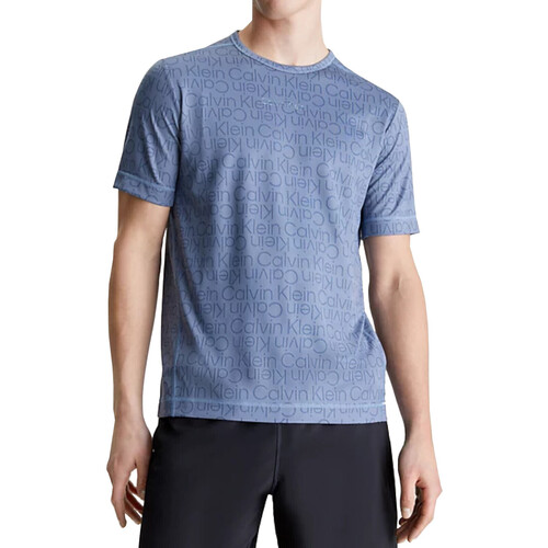 Vêtements Homme T-shirts manches courtes Calvin Klein Jeans 00GMS4K191 Marine