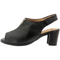 Chaussures Femme Voir toutes les ventes privées Piesanto 6485 Noir