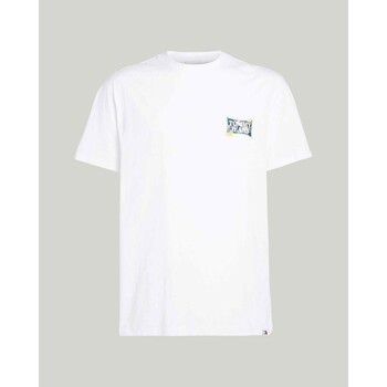 Vêtements Homme T-shirts manches courtes Tommy Hilfiger DM0DM18562YBR Blanc