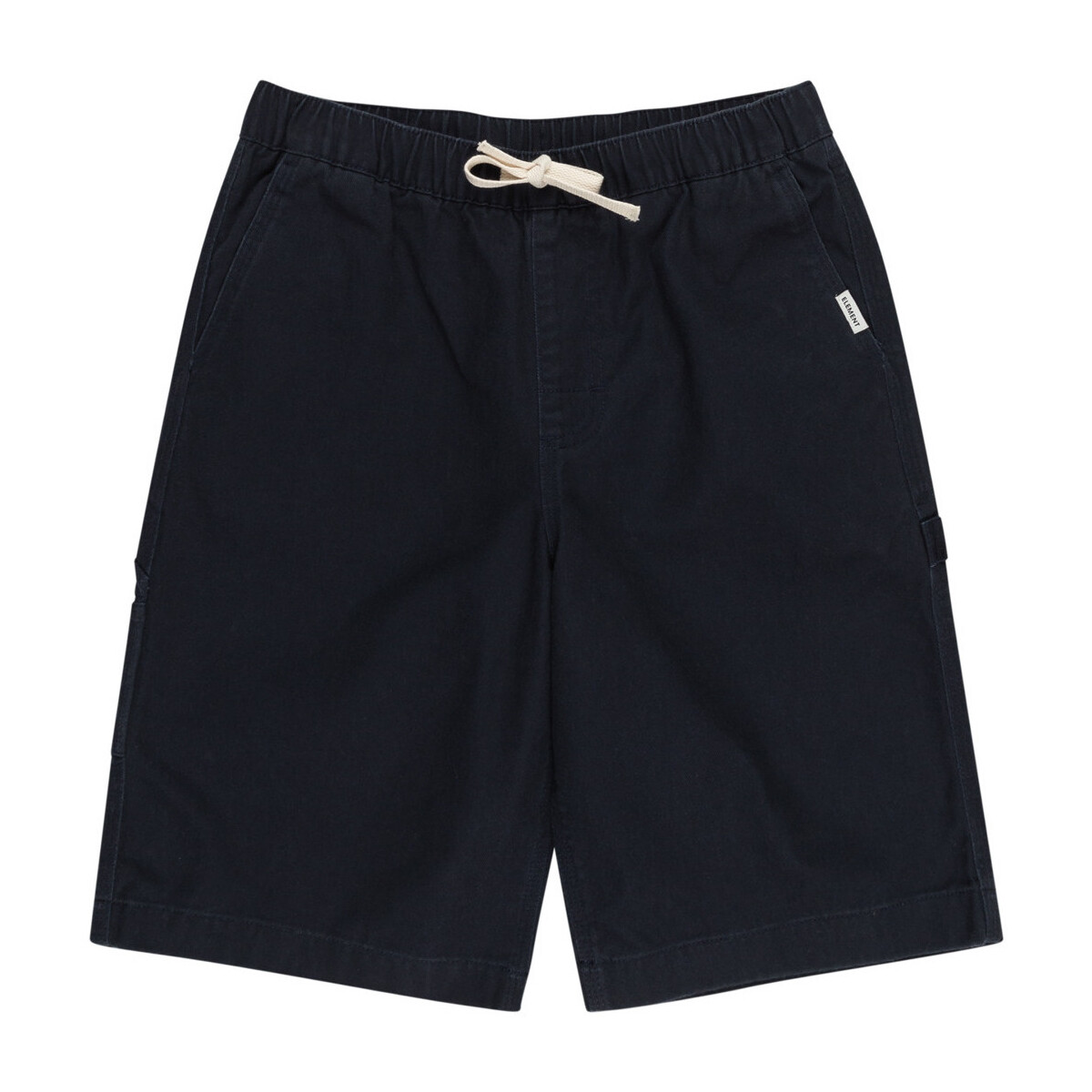 Vêtements Garçon Shorts / Bermudas Element Carpenter Bleu
