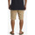 Vêtements Homme Shorts / Bermudas Quiksilver Everyday Union Light Marron