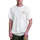Vêtements Homme Chemises manches courtes Volcom Camiseta  Skate Vitals Grant Taylor SS 2 - Off White Blanc