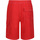Vêtements Homme Shorts / Bermudas Regatta Hotham IV Rouge